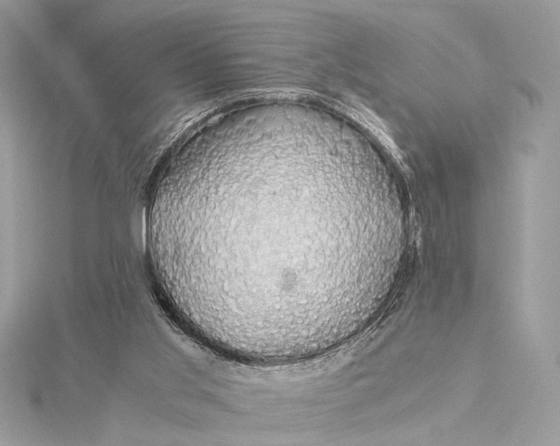 X0000116000013200912031518