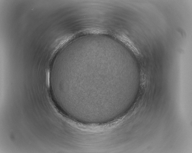 X0000116000014200912031518