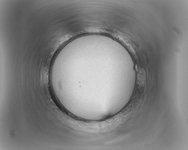 X0000116000015200912031518