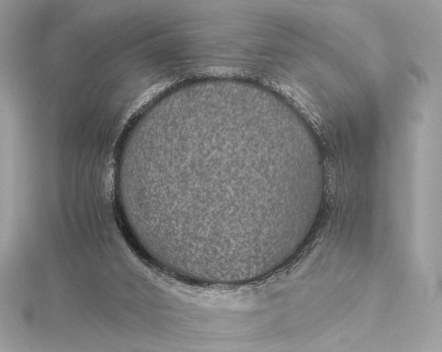 X0000116000016200912031518