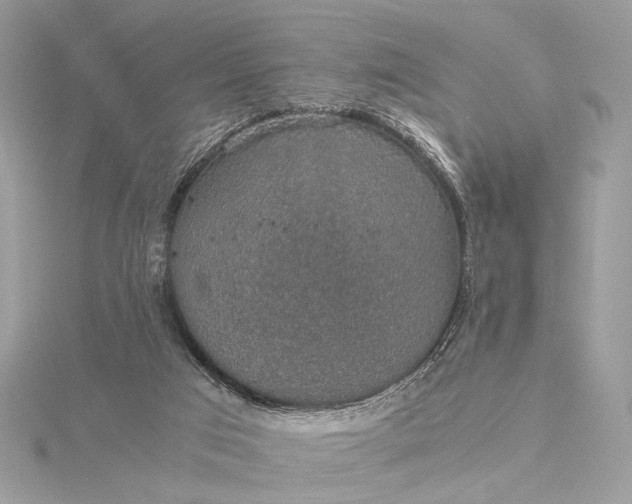 X0000116000017200912031518