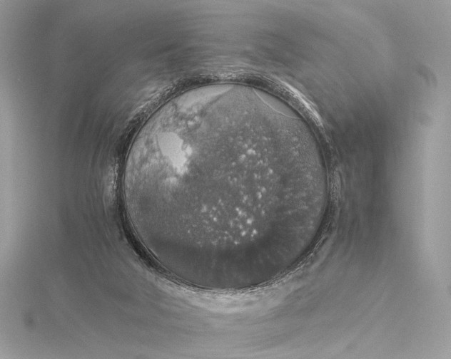 X0000116000018200912031518