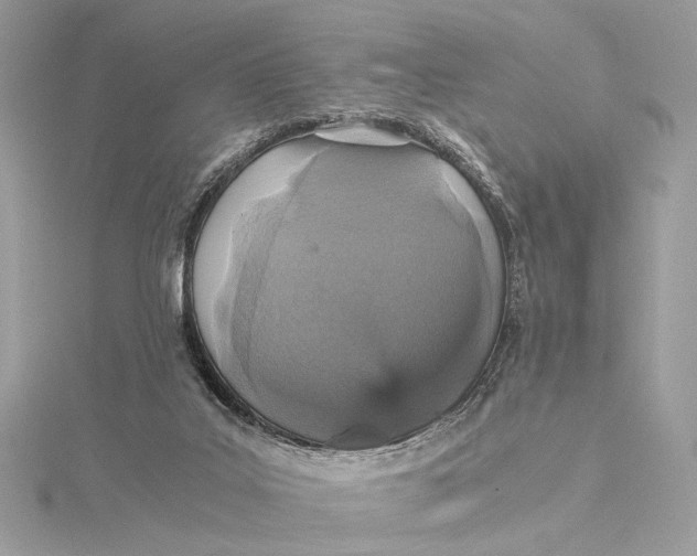 X0000116000019200912031518