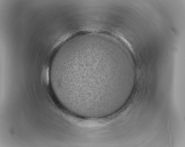 X0000116000020200912031518