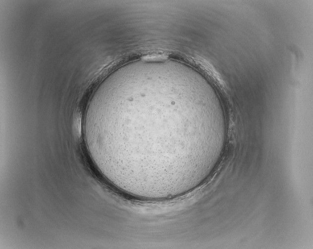 X0000116000021200912031518