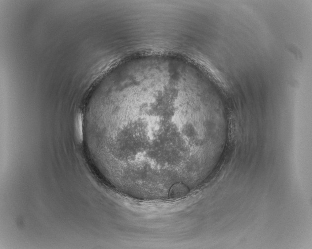 X0000116000022200912031518