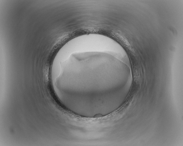 X0000116000023200912031518