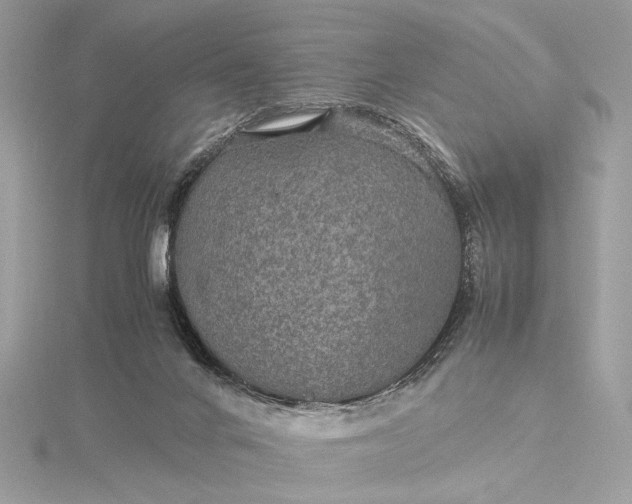 X0000116000024200912031518