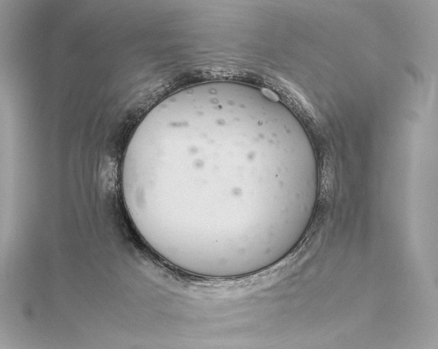 X0000116000025200912031518