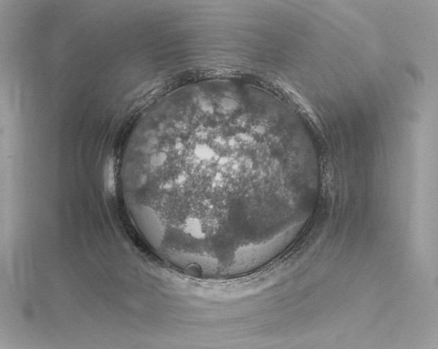 X0000116000026200912031518