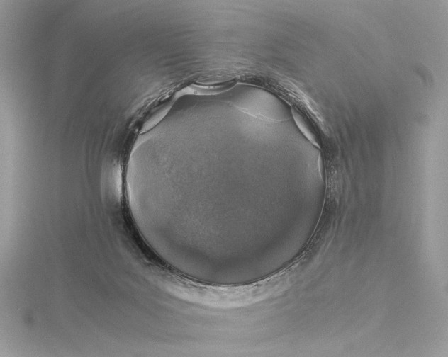 X0000116000027200912031518