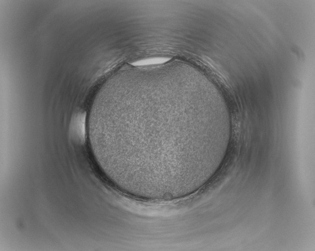 X0000116000028200912031518