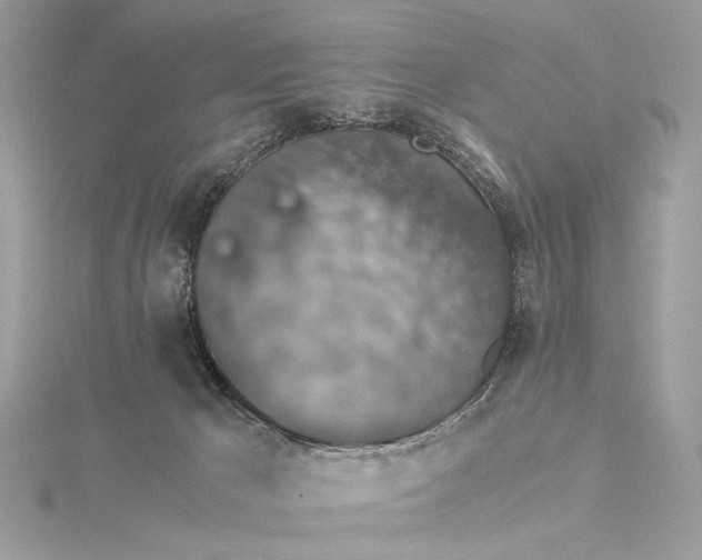 X0000116000029200912031518