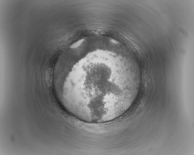 X0000116000030200912031518