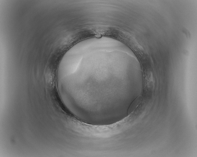 X0000116000031200912031518