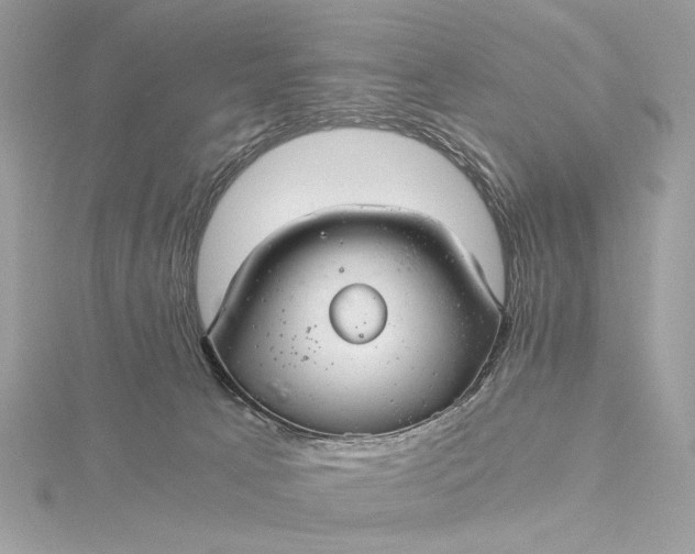 X0000116000033200912031518