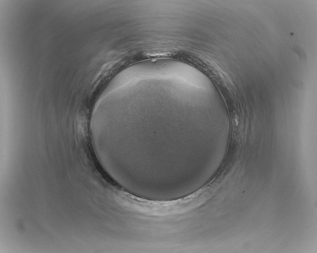 X0000116000035200912031518