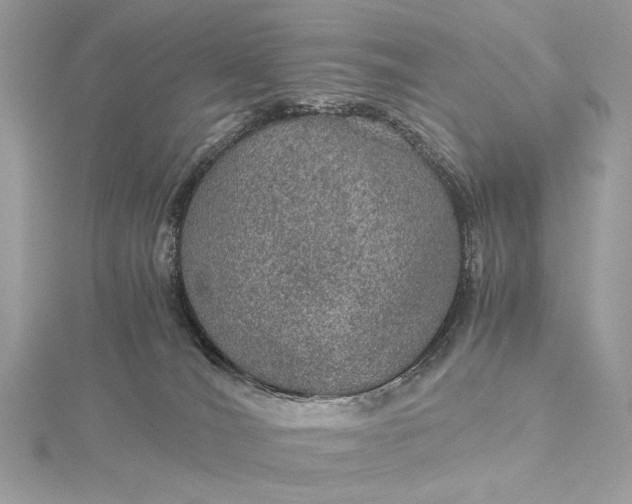 X0000116000036200912031518