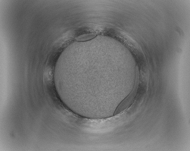 X0000116000037200912031518