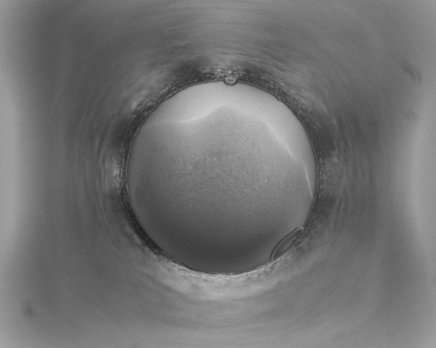 X0000116000039200912031518