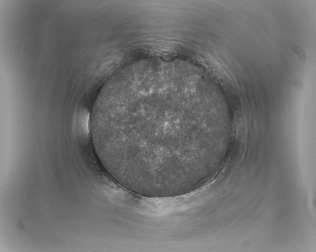 X0000116000041200912031518