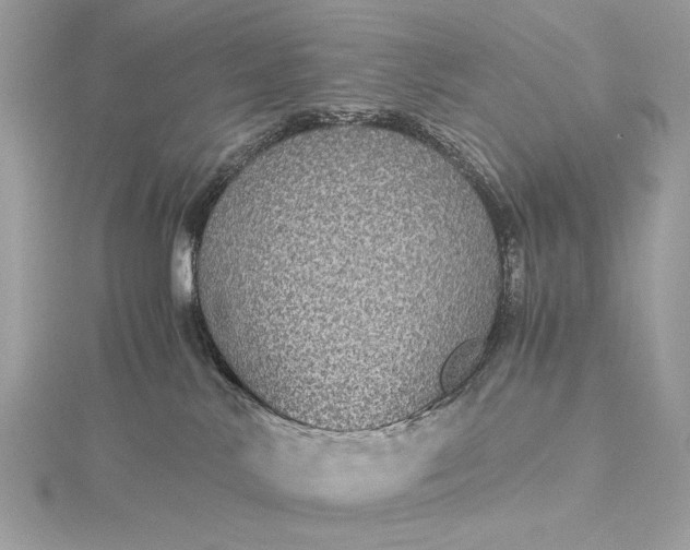 X0000116000042200912031518