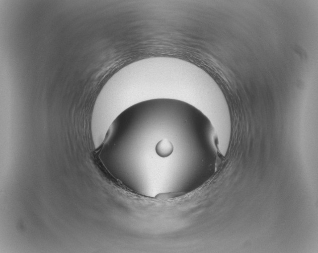 X0000116000043200912031518