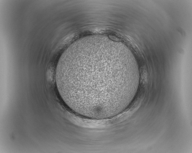 X0000116000044200912031518