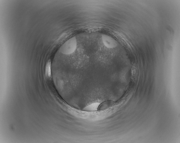 X0000116000046200912031518