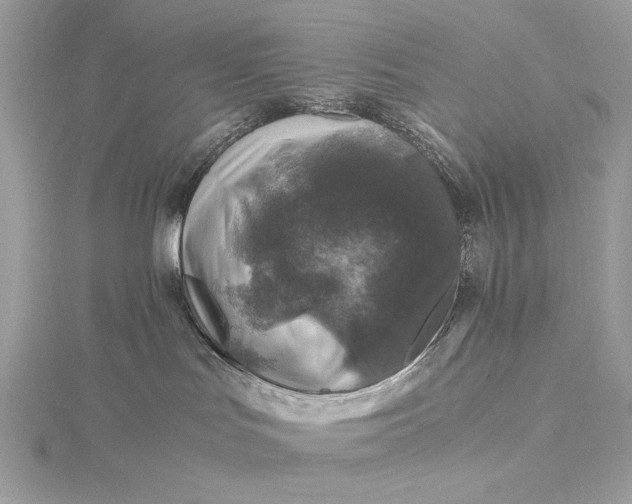 X0000116000047200912031518