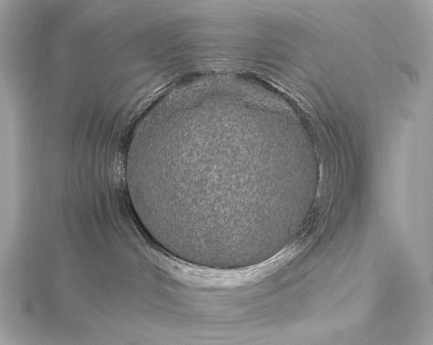 X0000116000048200912031518