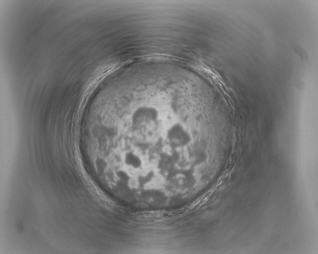 X0000116000049200912031517