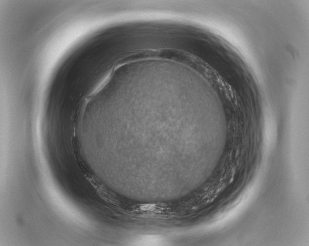 X0000116000050200912031517