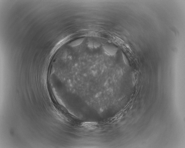 X0000116000051200912031517