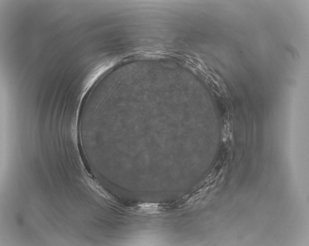 X0000116000052200912031517