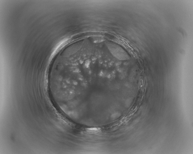 X0000116000053200912031517