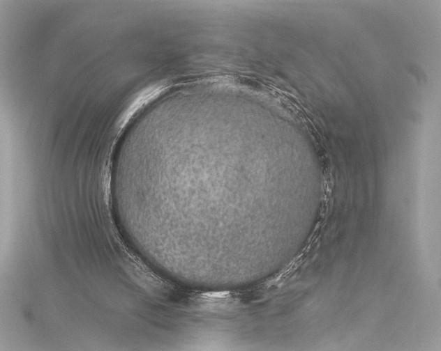 X0000116000054200912031517