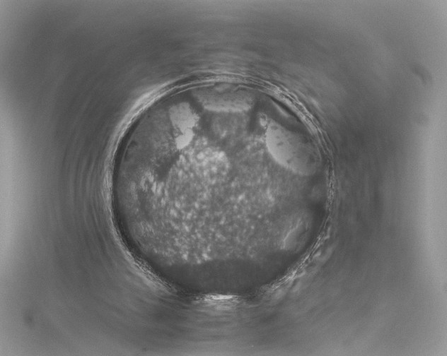 X0000116000055200912031517