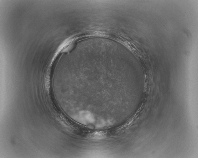 X0000116000056200912031517