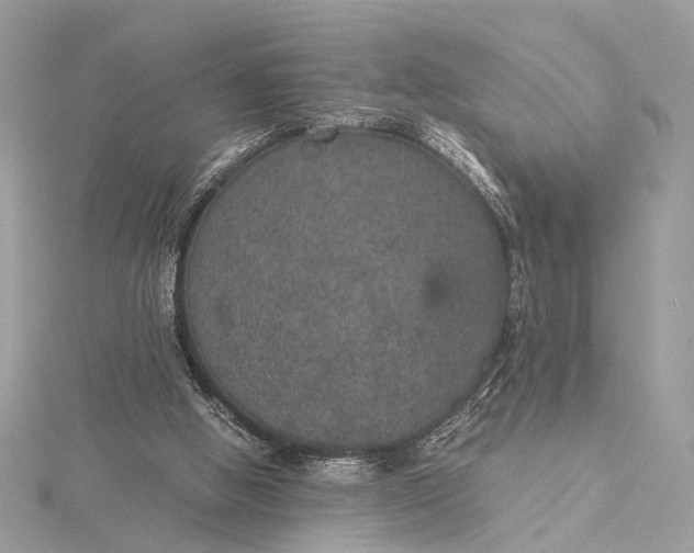 X0000116000058200912031517