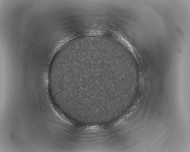 X0000116000059200912031517