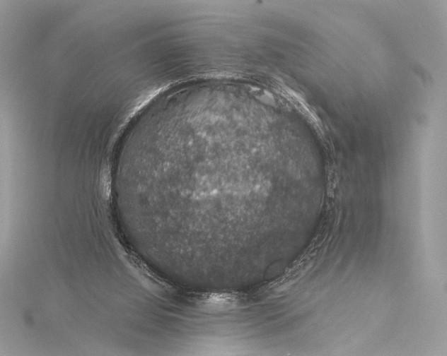 X0000116000060200912031517