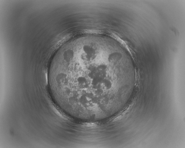 X0000116000061200912031517