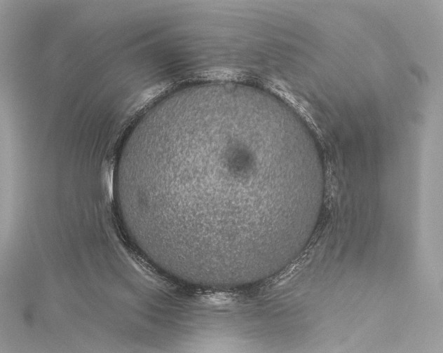 X0000116000062200912031518