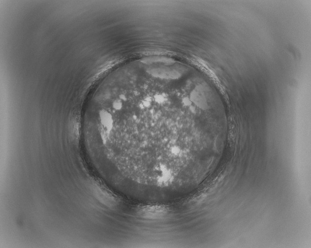 X0000116000063200912031518