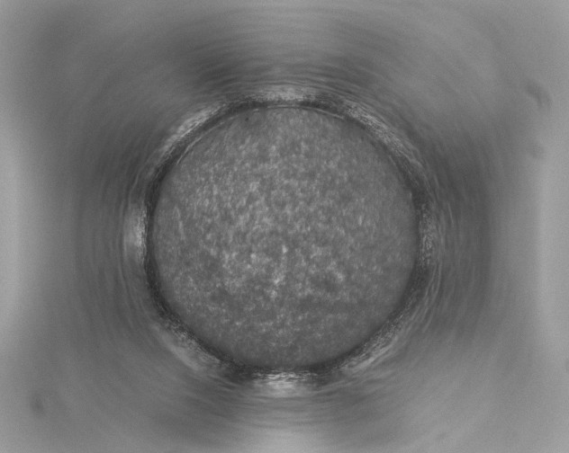 X0000116000064200912031518