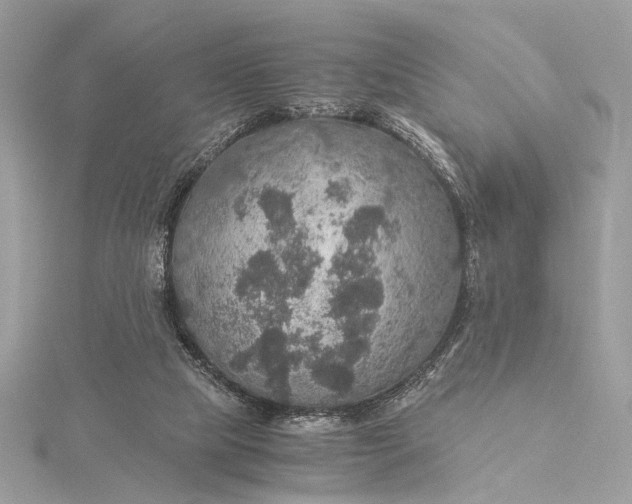 X0000116000065200912031518