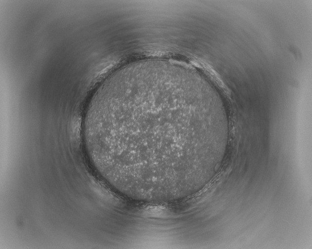 X0000116000066200912031518