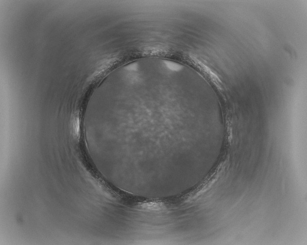 X0000116000067200912031518