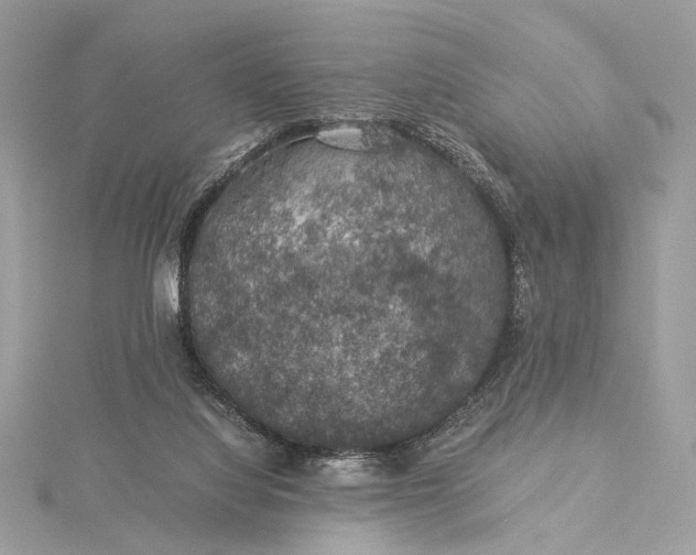 X0000116000068200912031518